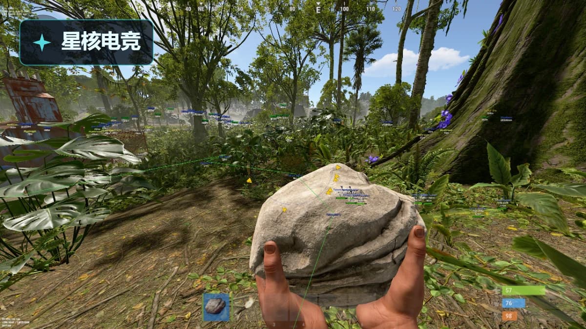 RUST · WTF