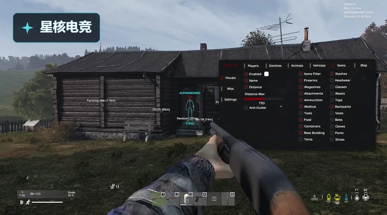 DAYZ · AFG
